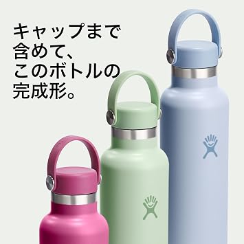 Hydro Flask HYDRATION Standard 21oz 21ml