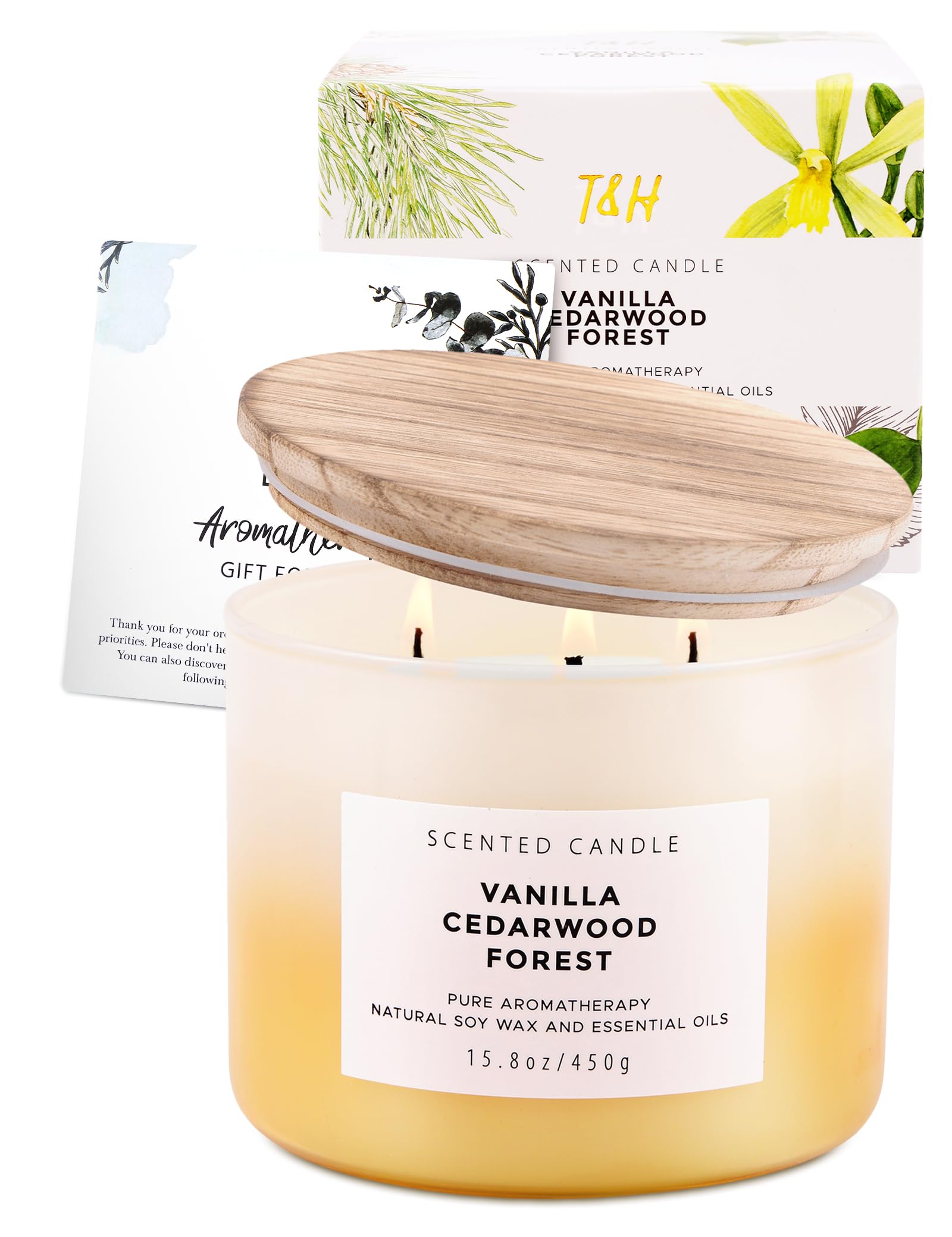 Duftkerze Vanille Zedernholz Waldkerze | 3-Docht große Soja-Kerzen 450 ml | Aromatherapie-Vanille-Kerze für Damen und Herren | warmer, holziger, gemütlicher Duft für Zuhause | langanhaltende, saubere
