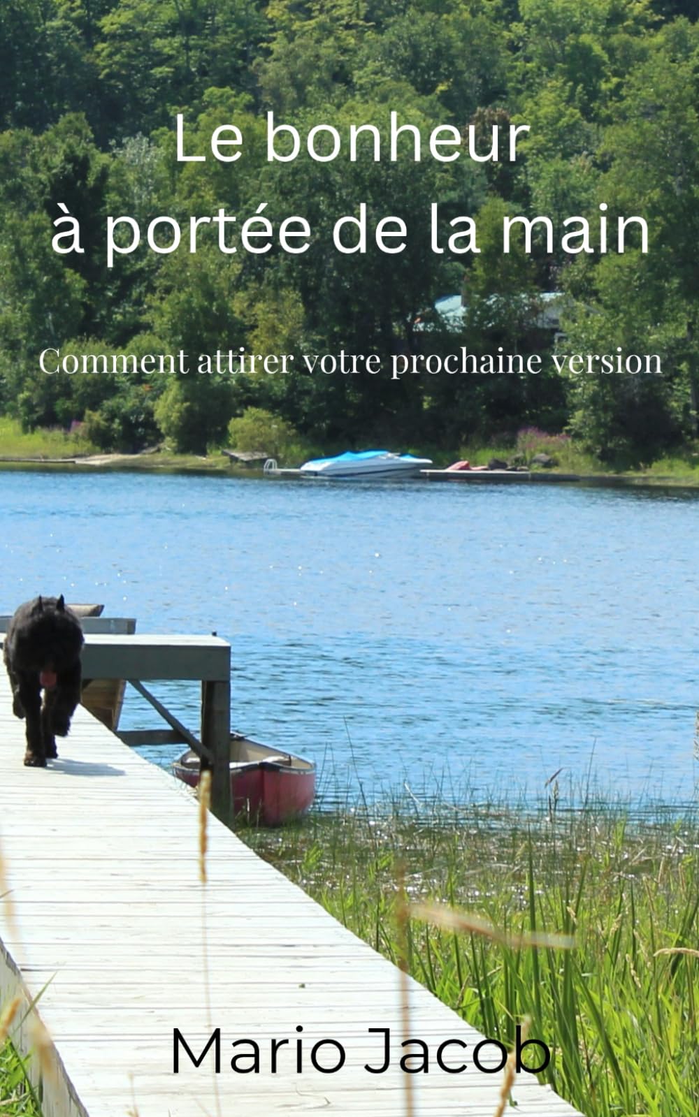 Le bonheur à portée de la main: Comment attirer votre prochaine version