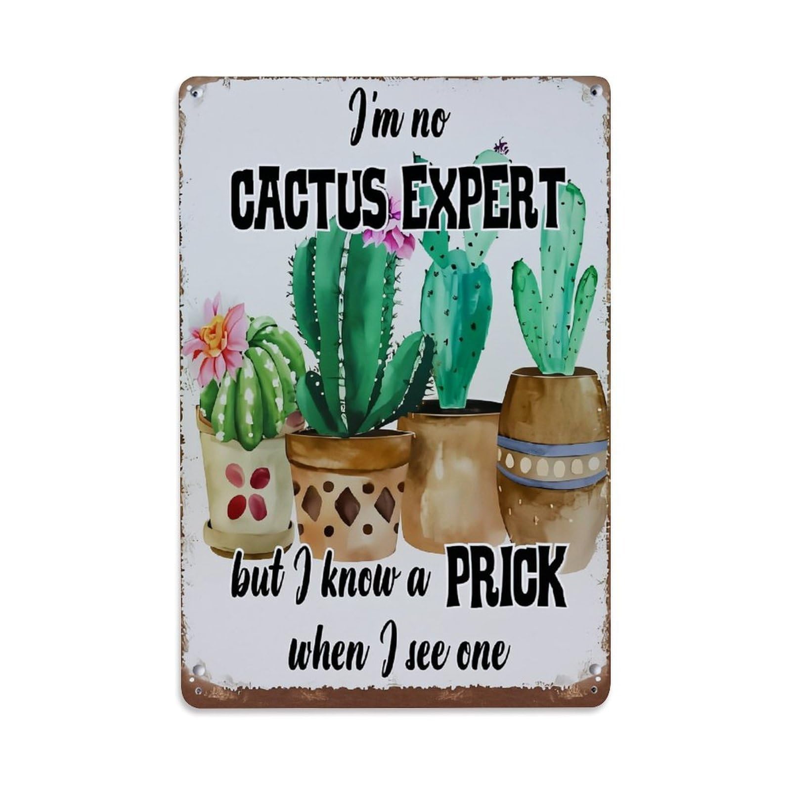 Bliveurn Vintage Cactus Plants In Pots Design Retro Metal Tin Sign, Metal Poster For Home, Gaming Room, Studio Workshop,Bar,Garage Wall Art Decor 8X12 Inch