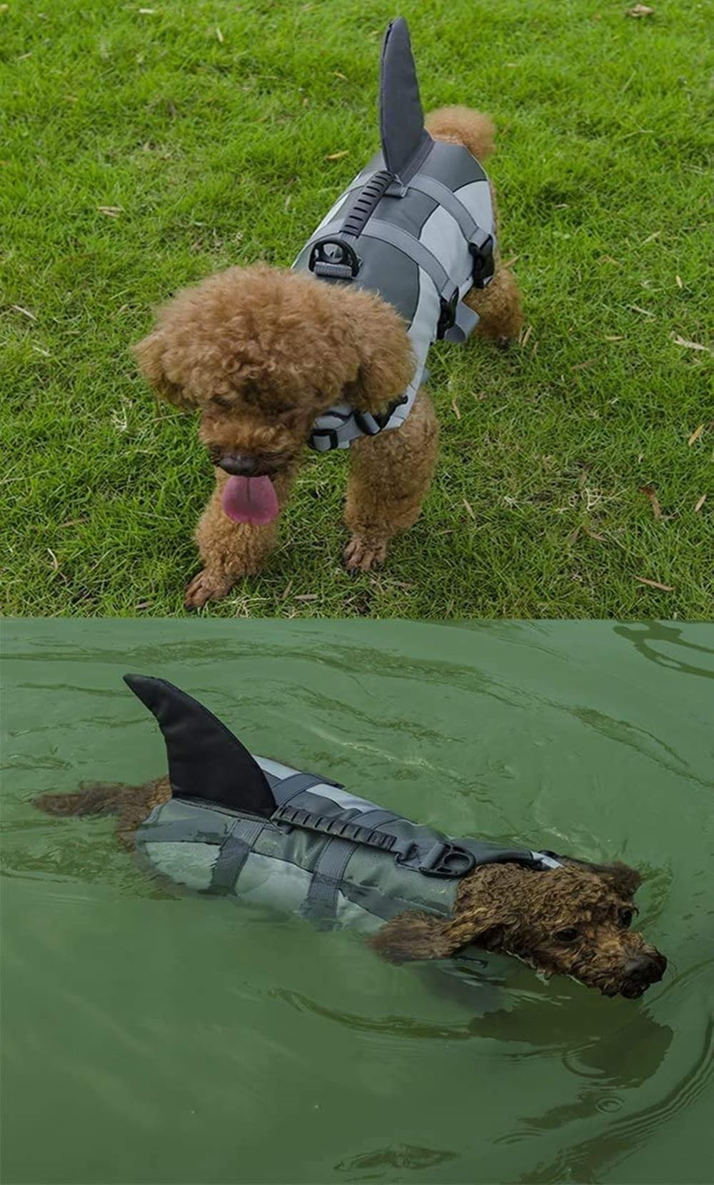Aokay Hundeschwimmweste Hai,Größenverstellbarer Rettungswest für Hunde mit robustem Griff (L, Grau)