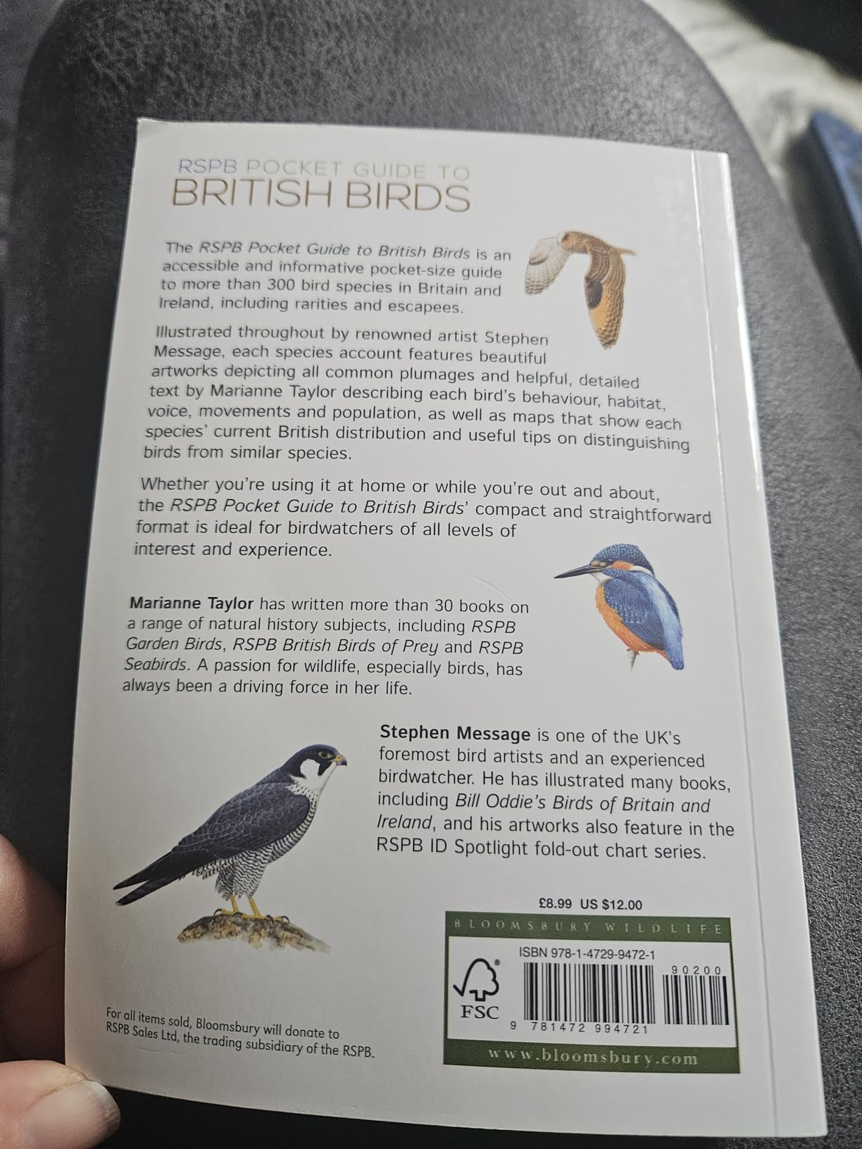 Amazon | Rspb Pocket Guide to British Birds | Taylor, Marianne, Message ...
