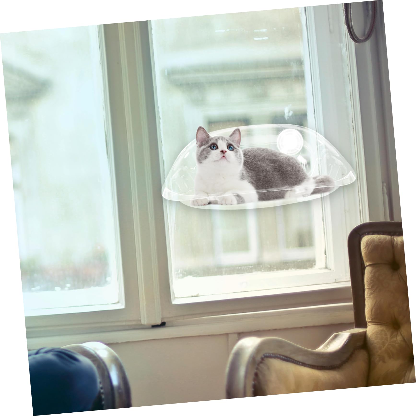 ERINGOGO Chat à Ventouse Cat Bed Suspendu Transparent pour Fenêtre pour Design Détachable Installation Facile