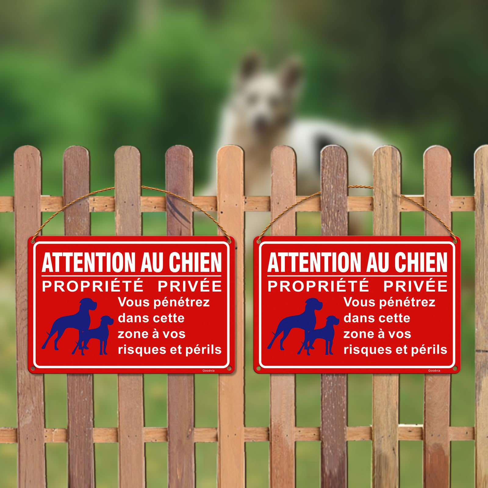 Panneau Attention Au Chien Aluminium Réfléchissant 30x20cm - Propriété Privée Et Vidéo Surveillance