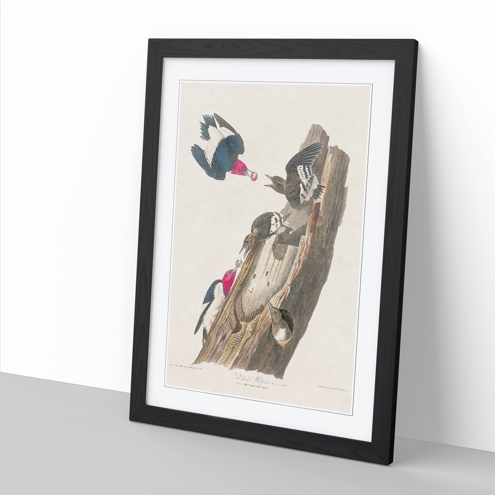 Red Headed Woodpeckers By John James Audubon Vintage Framed Wall Art Print - Image 2