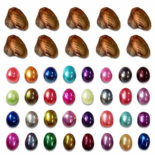 10PC Freshwater Love Wish Pearl Oyster with Oval Pearl Inside