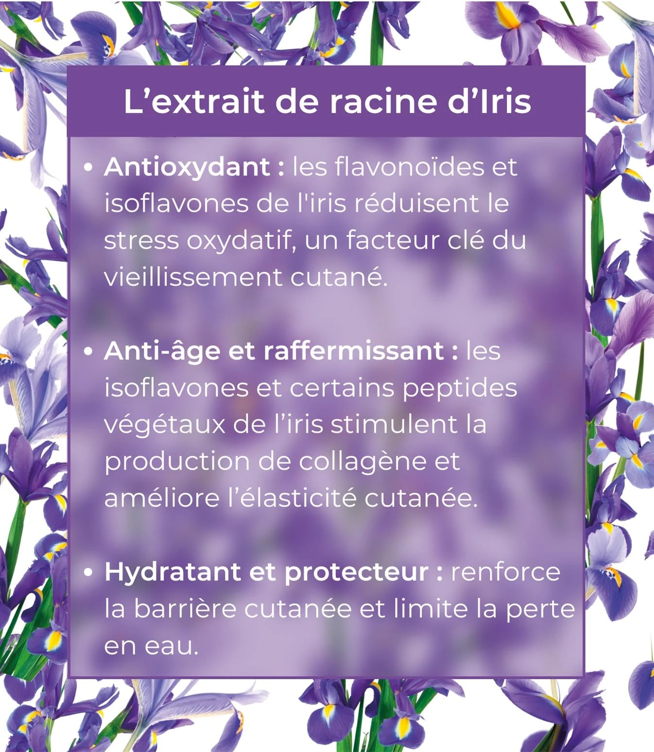 Academie Scientifique de Beauté Sève Miracle La Crème, Crème Visage Hydratante Anti-Rides Jour et Nuit, Peau Mature, 50 ml