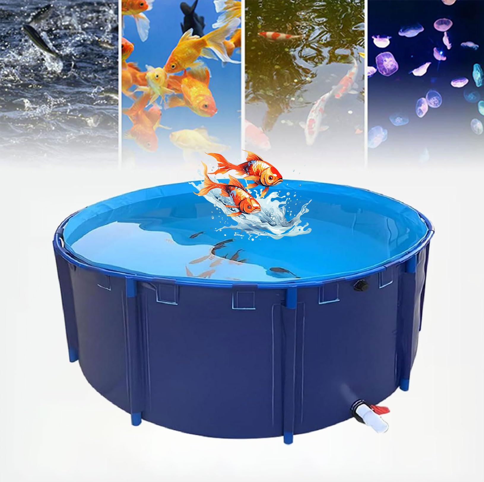 丸水槽巨大いけす