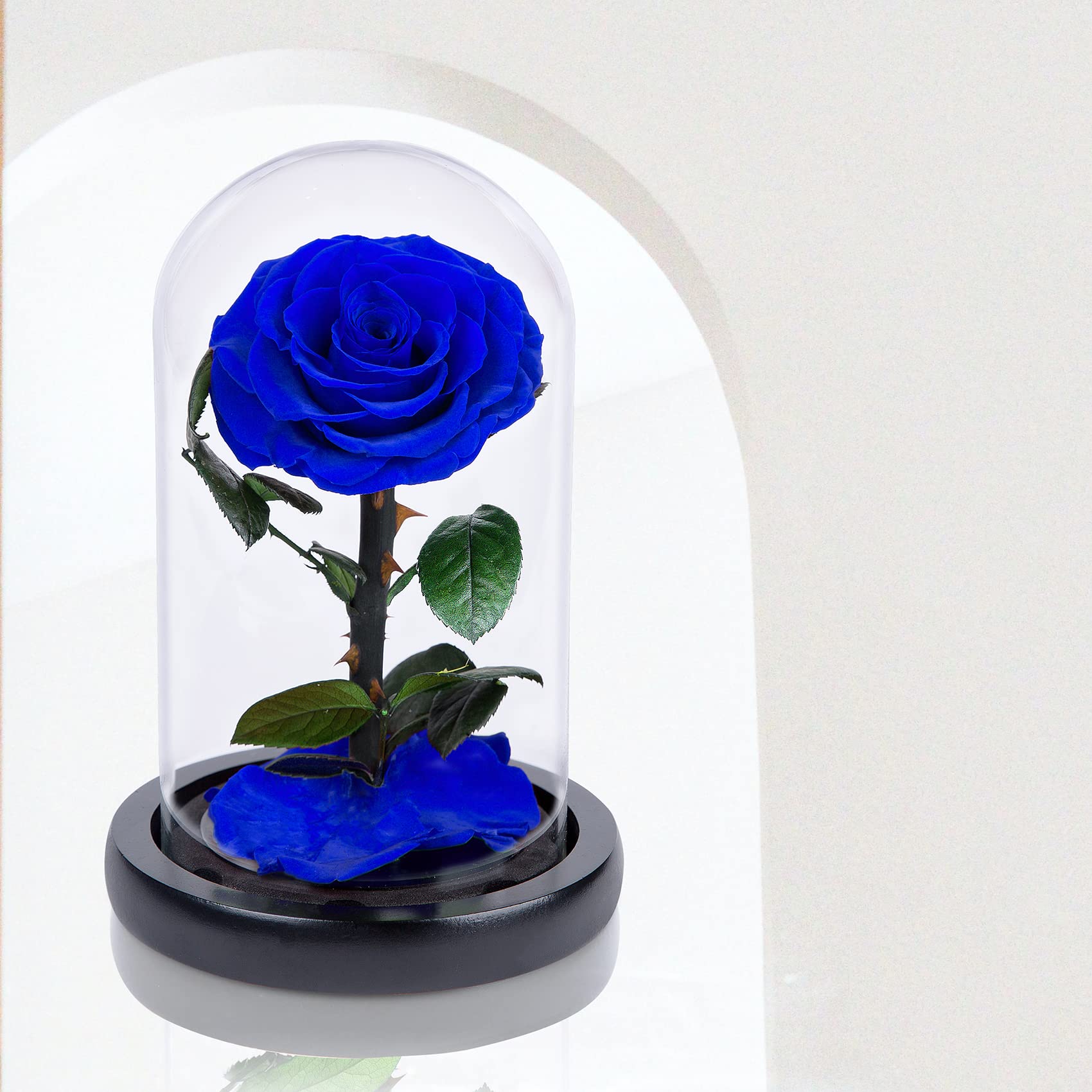 Amazon｜ガラスドームのハンドメイドプリザーブドフラワー、ロイヤル