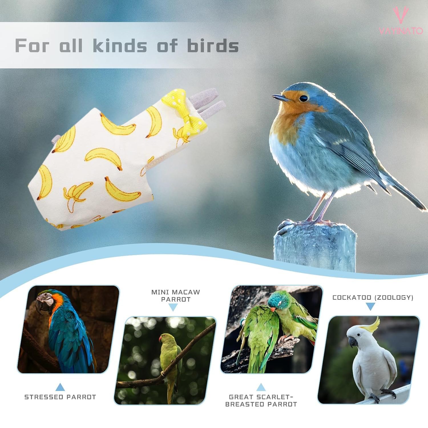 VAYINATO® 1 Pcs Reusable Birds Diaper for Parrot, Budgies, Sun Conures, Lories & Small Birds | Soft Breathable Fabric, Secure Fit for Flight & Ground Use | Easy-Clean Bird Hygiene (Banana) 2