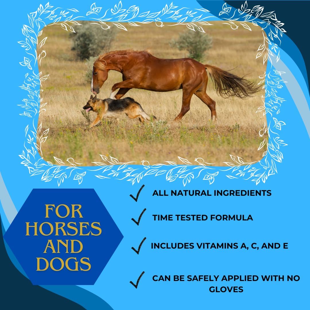 Corona Horseman's Dream Vet Cream Jar Horse Minor Wounds Skin Soothe Conditions, 16 oz