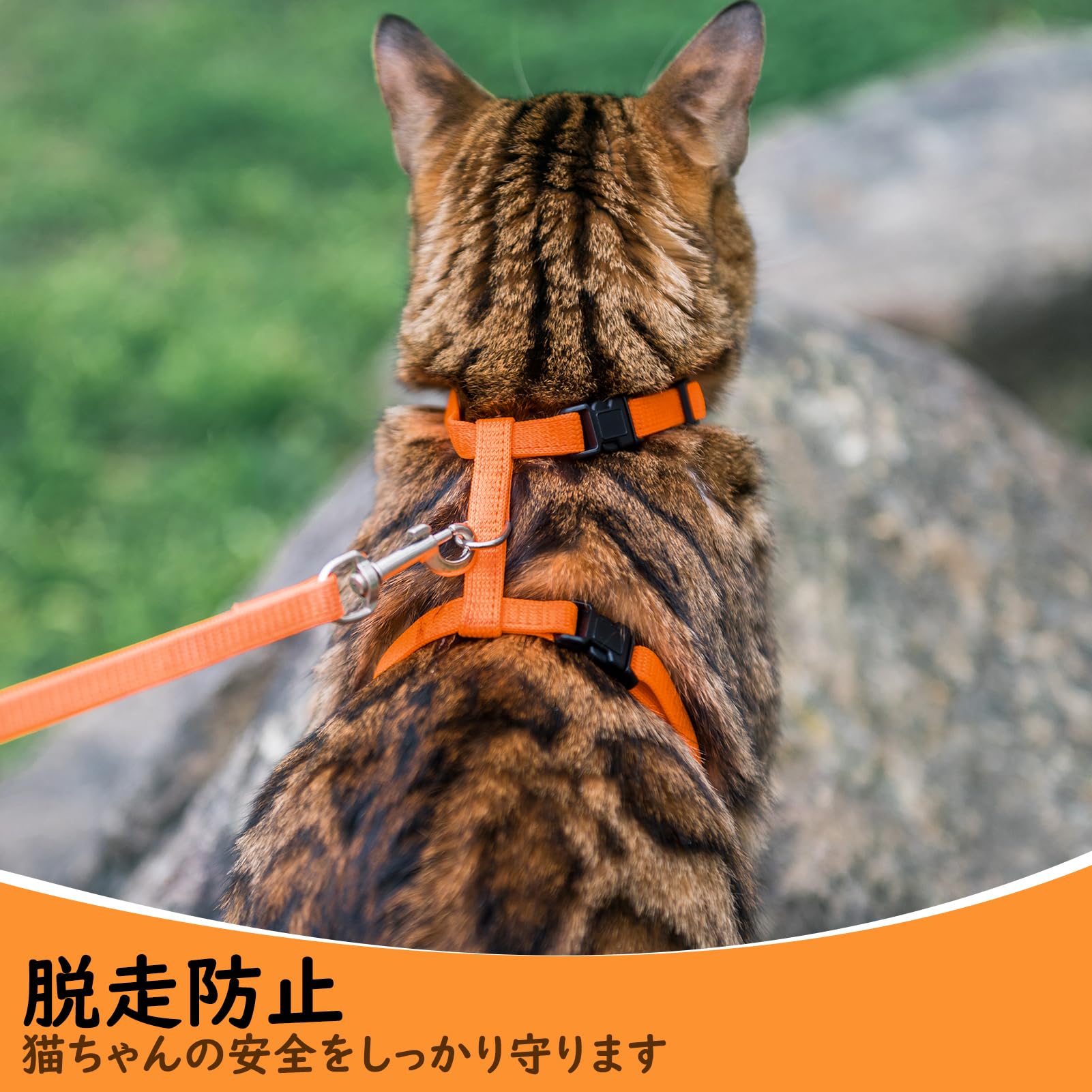 Amazon | PUPTECK 猫 ハーネス リードセット 猫用ハーネス 猫牽引