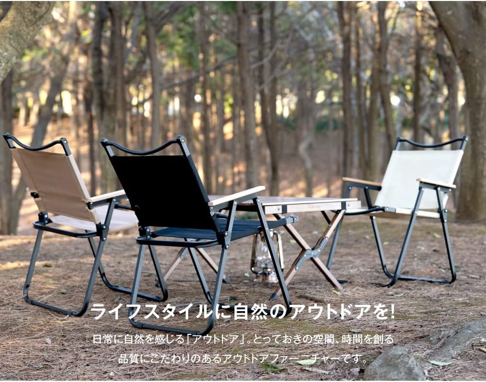 オガワogawa アウトドアチェア ローチェア2 オガワキャンパル(ogawa