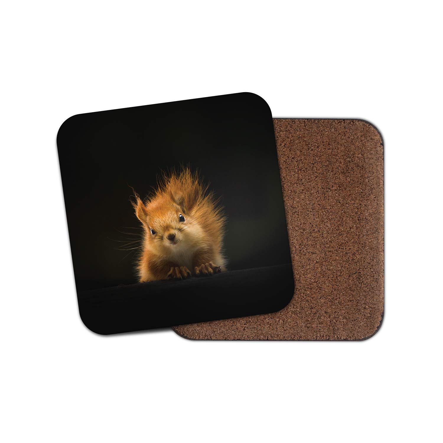 Destinationvinyl Multicolor 1 X Cute Red Squirrel Coaster - Forest Animal Kids British Wildlife Fun #13158