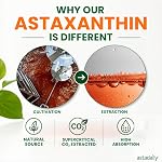 All-In-One Natural Astaxanthin Supplement Canada 60 Softgels | Blister Pack, 9-in-1 Formula: 6mg Natural Astaxanthin, Fish Oil, Lutein & More, Powerful Antioxidant for Skin & Eye Health
