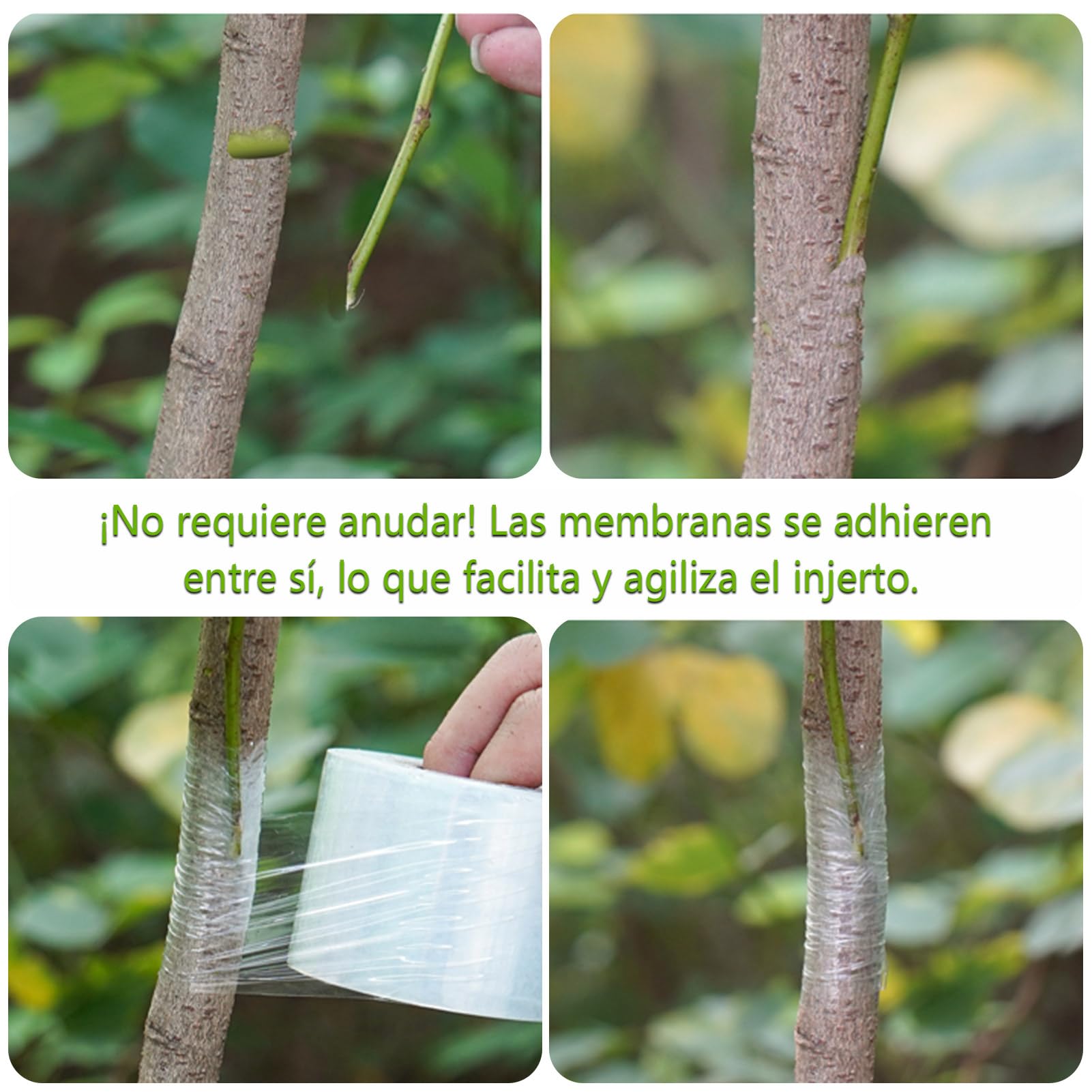 3 Rollos de Cinta de Injerto de Transparente Estirable, Autoadhesiva para Jardinería Película de Injerto, Ideal para Injertar Árboles Frutales, Flores y Uso en Viveros, 100 m