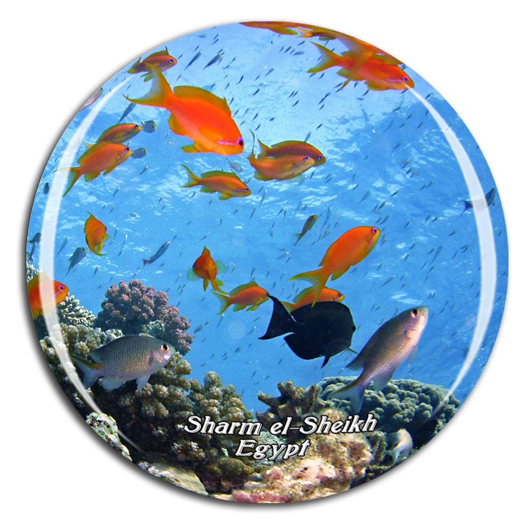Weekino Egypt Sharm El-Sheikh Fridge Magnet 3D Crystal Glass Tourist City Travel Souvenir Collection Gift Strong Refrigerator Sticker