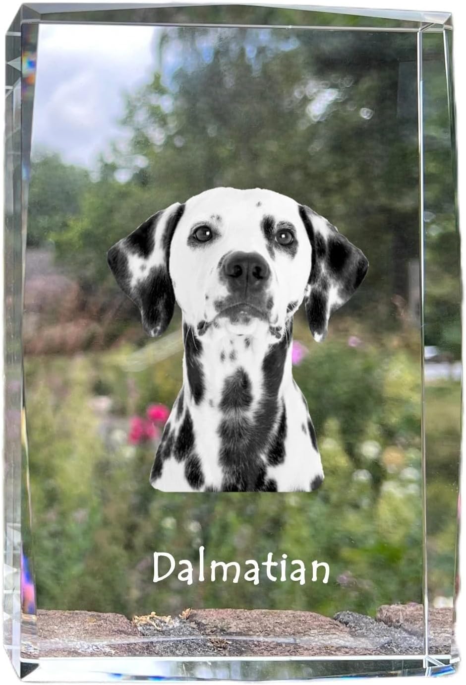 Art-Dog Crystal with a Photo of a Dog, cat or Horse, Photo in Glass, Modern Photo Display, Personalized Gift idea