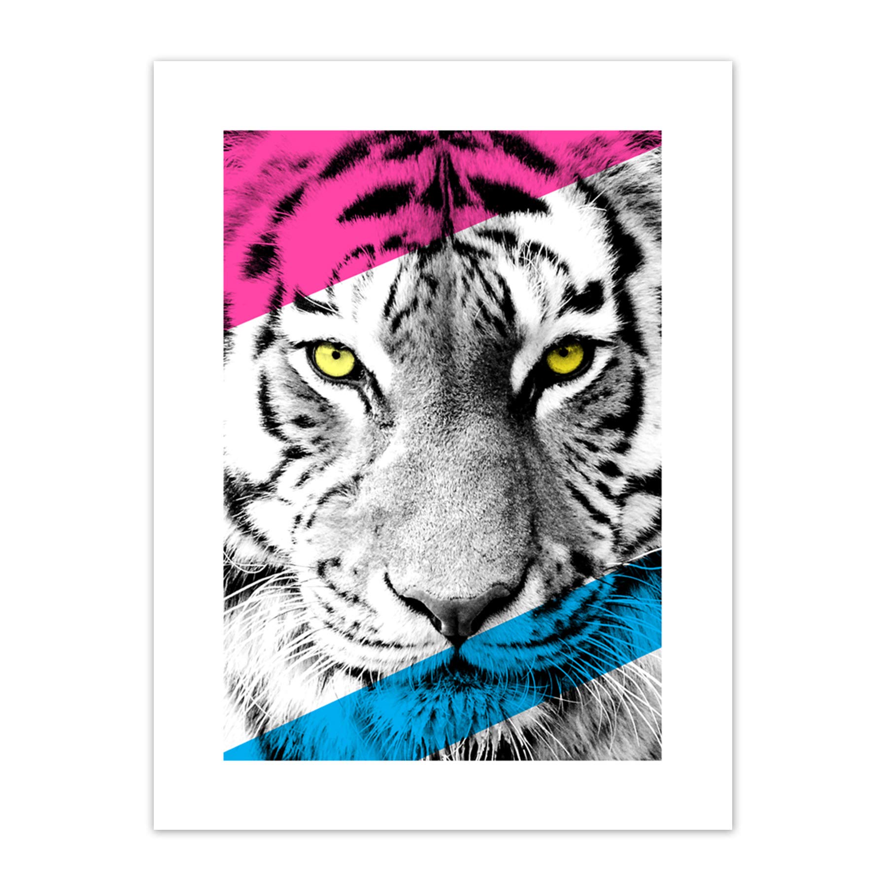Wee Blue Coo Contemporary Bold CMYK Tiger Art Print Canvas Premium Wall Decor Poster