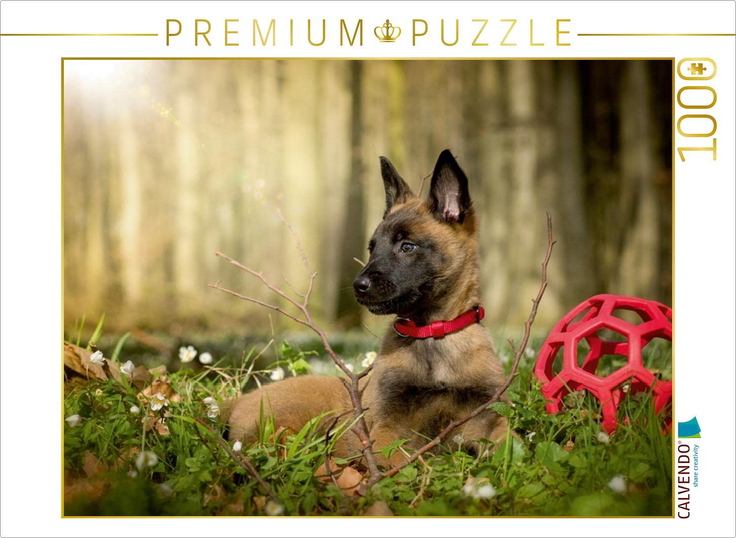 CALVENDO Puzzle 'Malinois-Hündin' 1000 Teile – 64 X 48 Cm Legegröße – Premium-Qualität Aus Europa, Foto-Puzzle Von Martina Wrede