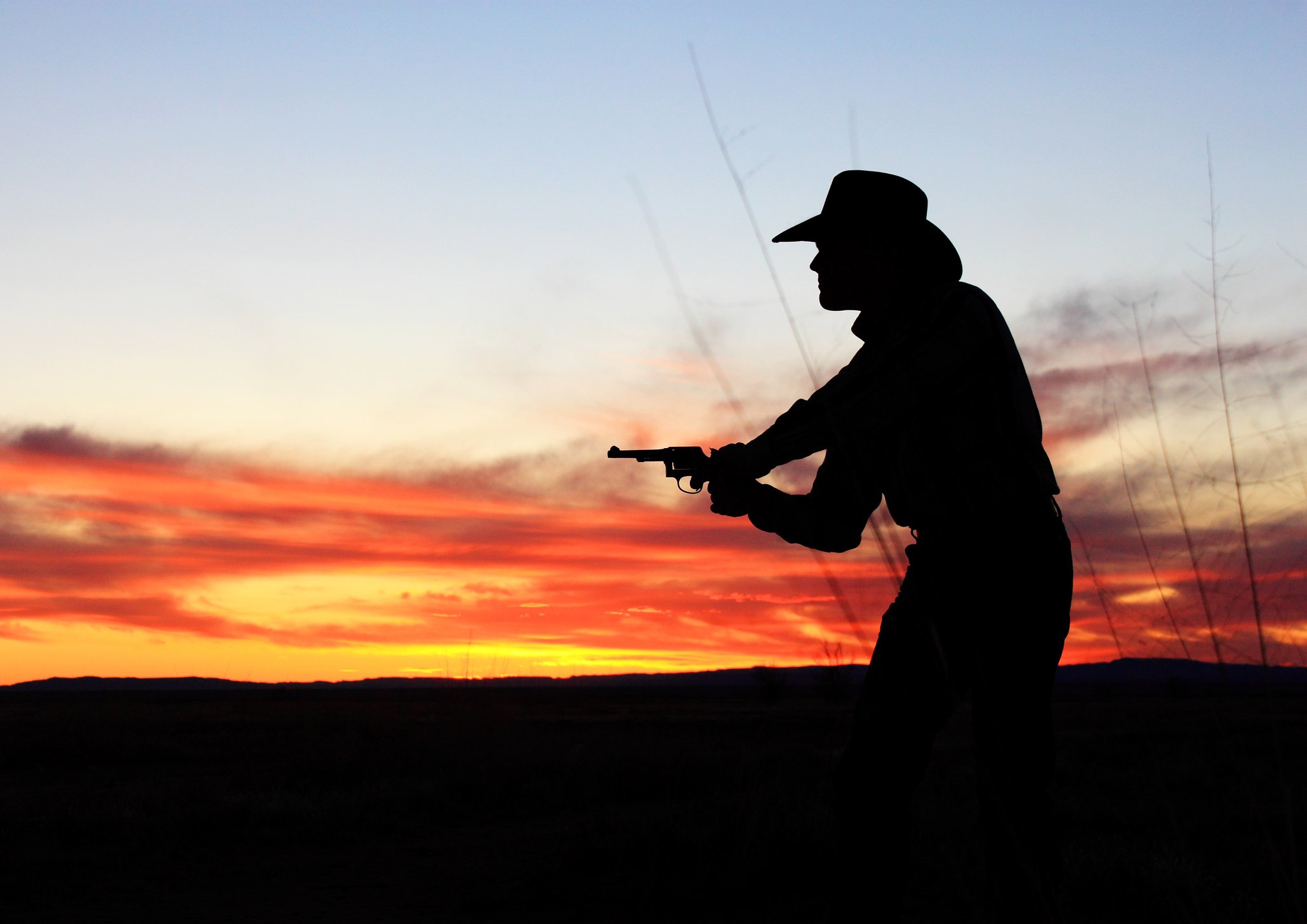 Cover of Steel, the Wandering Gunslinger, and the Cannibals of Knobby Creek Bend