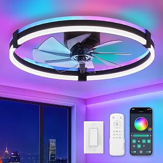ZMISHIBO 23" RGB Low Profile Ceiling Fans with Lights and Remote, Black