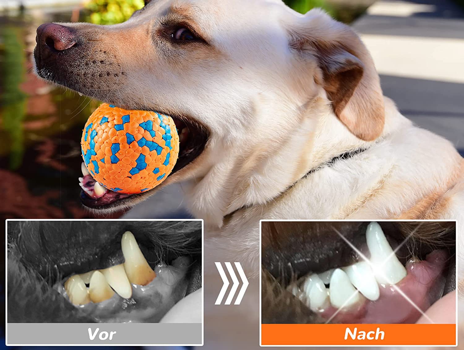 Duurzame Bijtbestendige Hondenbal voor Speelsessies en Mondhygiëne