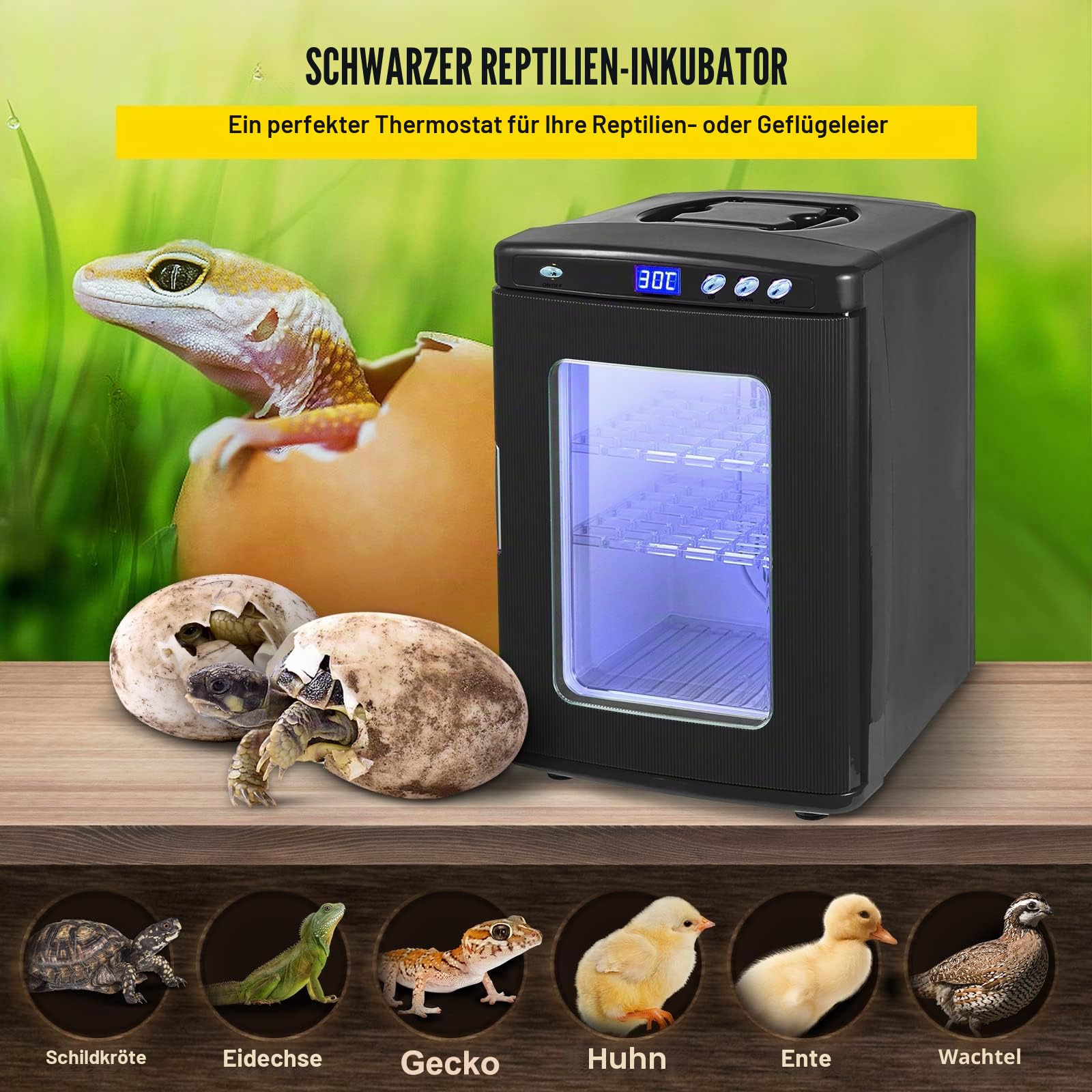 Inkubator 5°-60°C (36-140°F), 25 l, automatisches Brutgerät mit konstanter Temperatur für Reptilien oder Amphibien