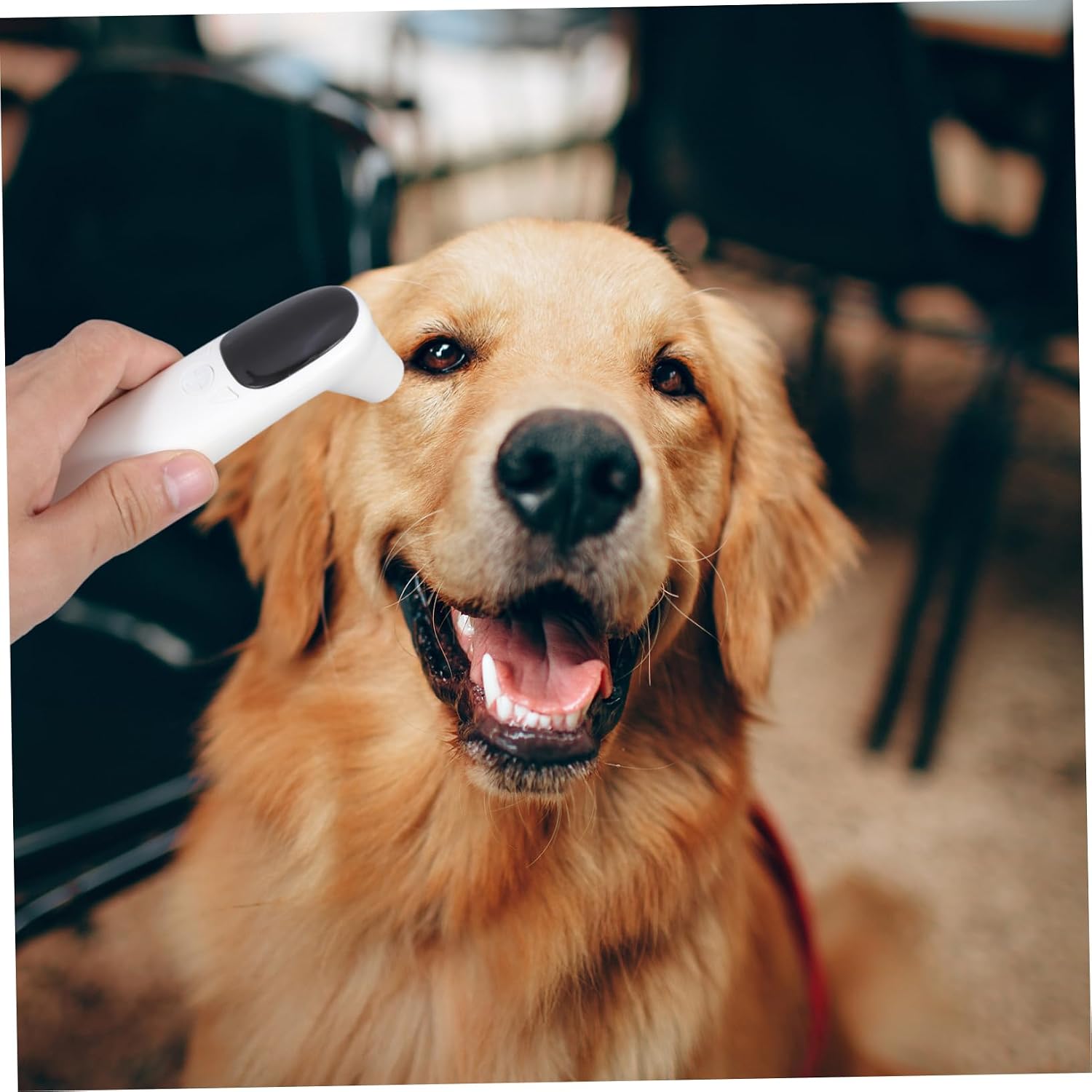 Professional Animal Thermometer Non-Contact Pet Ear Thermometer for Farm Animals Cats Dogs Puppies Led Display