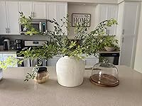 Review Image by CD CD