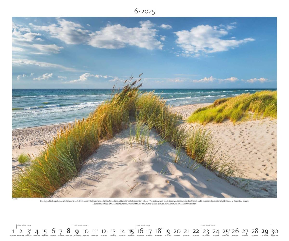 PALAZZI - Naturland Deutschland 2025 Wandkalender, 60x50cm, Posterkalender mit schönen Bildern aus Nationalsparks und Naturschutzgebieten, Felder, Wiesen und Wälder