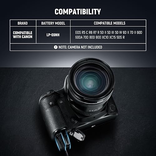 Miniatura 81 de NEEWER D Tap to NP-F550 Batería ficticia con cable para batería de montaje en V, fuente de alimentación estable para RGB660 RGB1200 RGB168 BH20B Luz