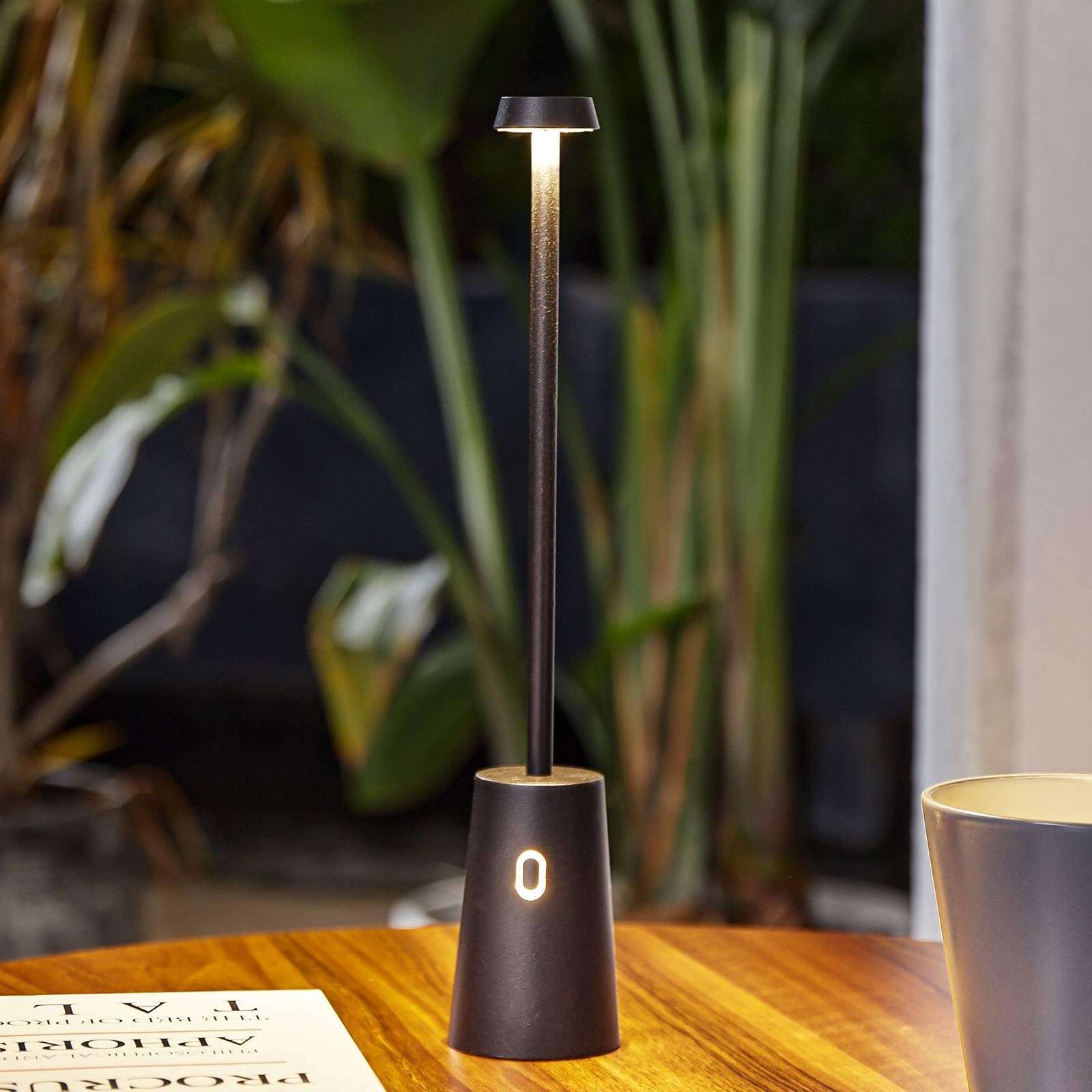 Lindby LED Luminaire de terrasse Noelani à intensité variable (Moderne) en Noir (1 lampe,à)