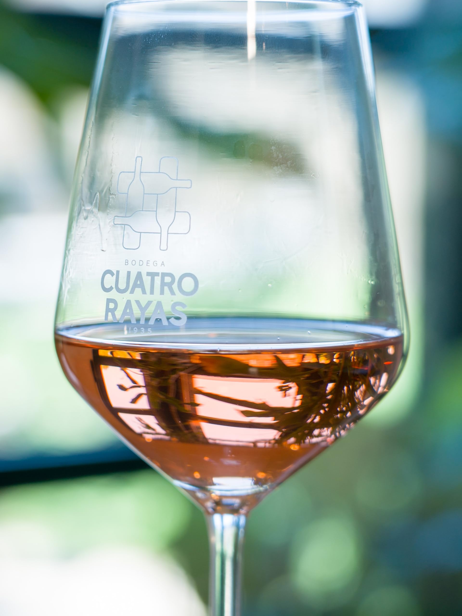 Vino Rosado Bag in Box de 15L