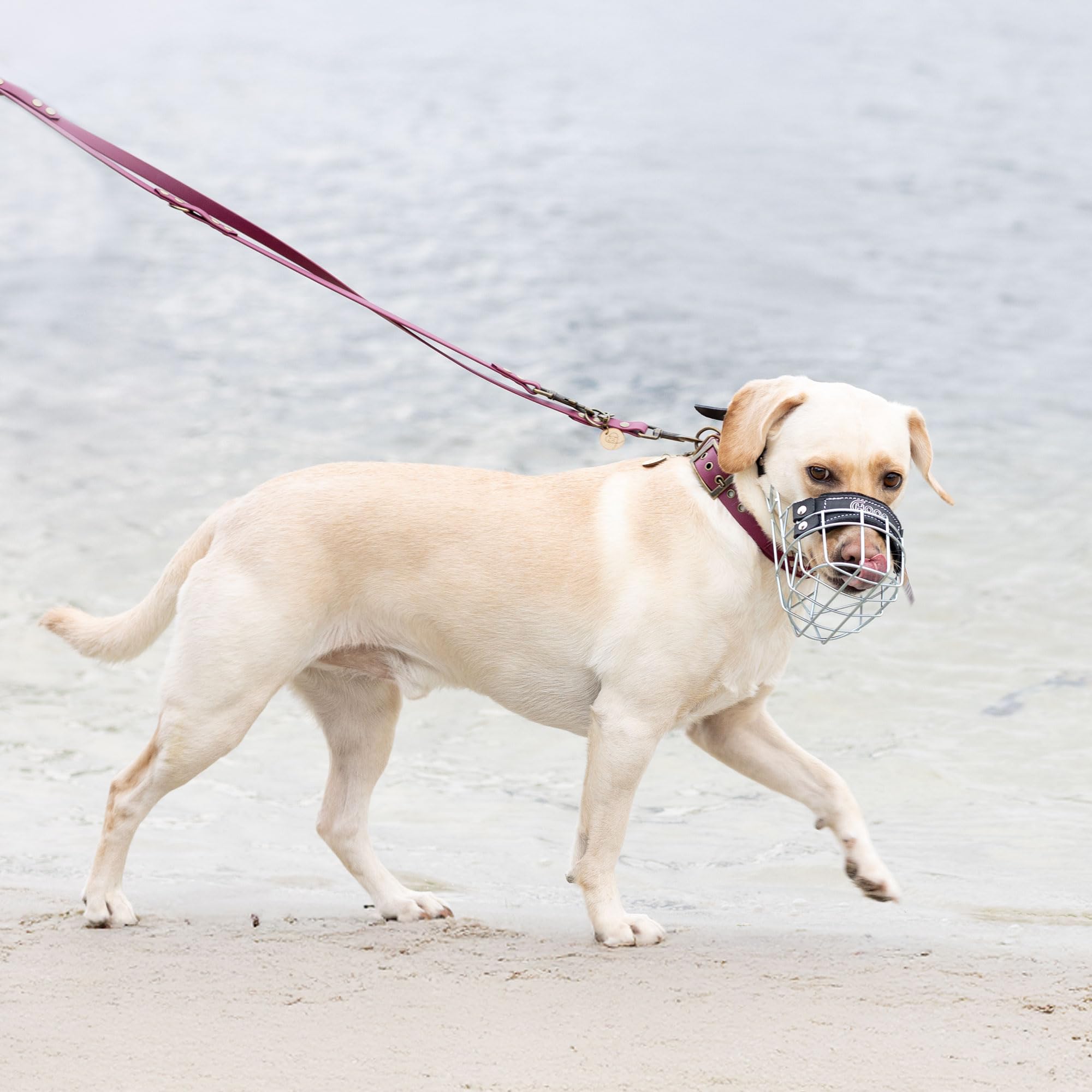 CHOPO Muselière en fil métallique pour chien allemand – Muselière pour chien – Confort et sécurité dans un équilibre parfait