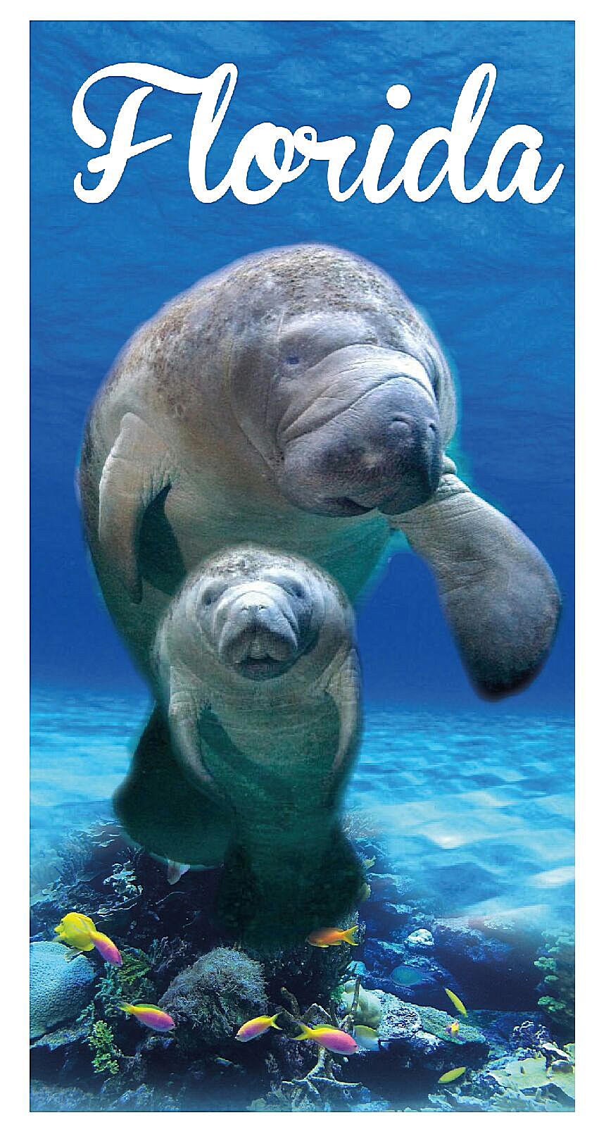 Island Gear Florida Manatee 30x60 Cotton Velour Beach Towel