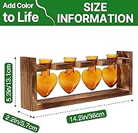 Vista 4 de Estaciones de propagación de plantas, kit de terrario de plantas de corazón, regalo para mujeres, amantes de las plantas, jarrones de vidrio