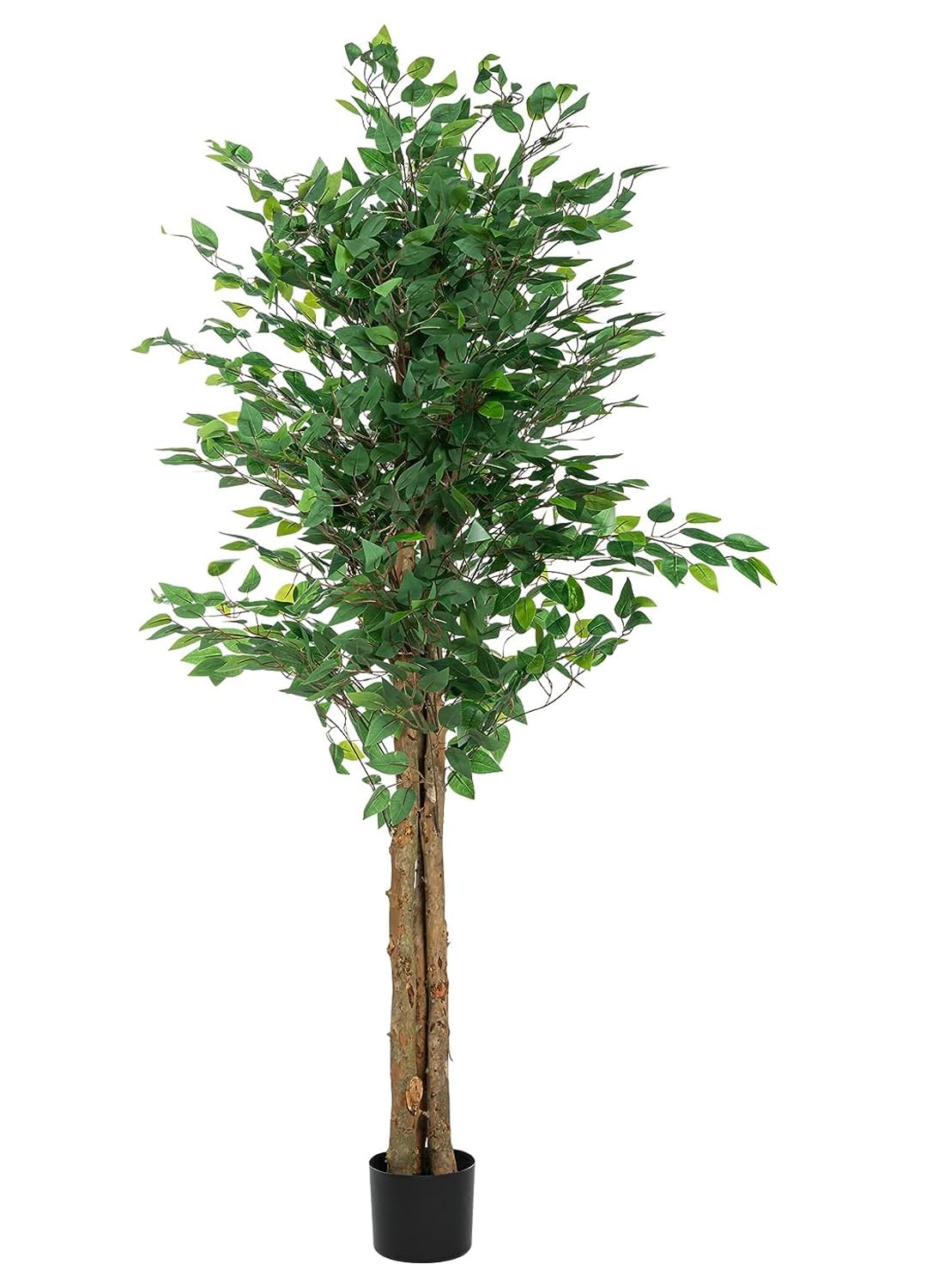 Buy Home Bloom 6FT Artificial Ficus Tree with Plastic Nursery Pot, Tall