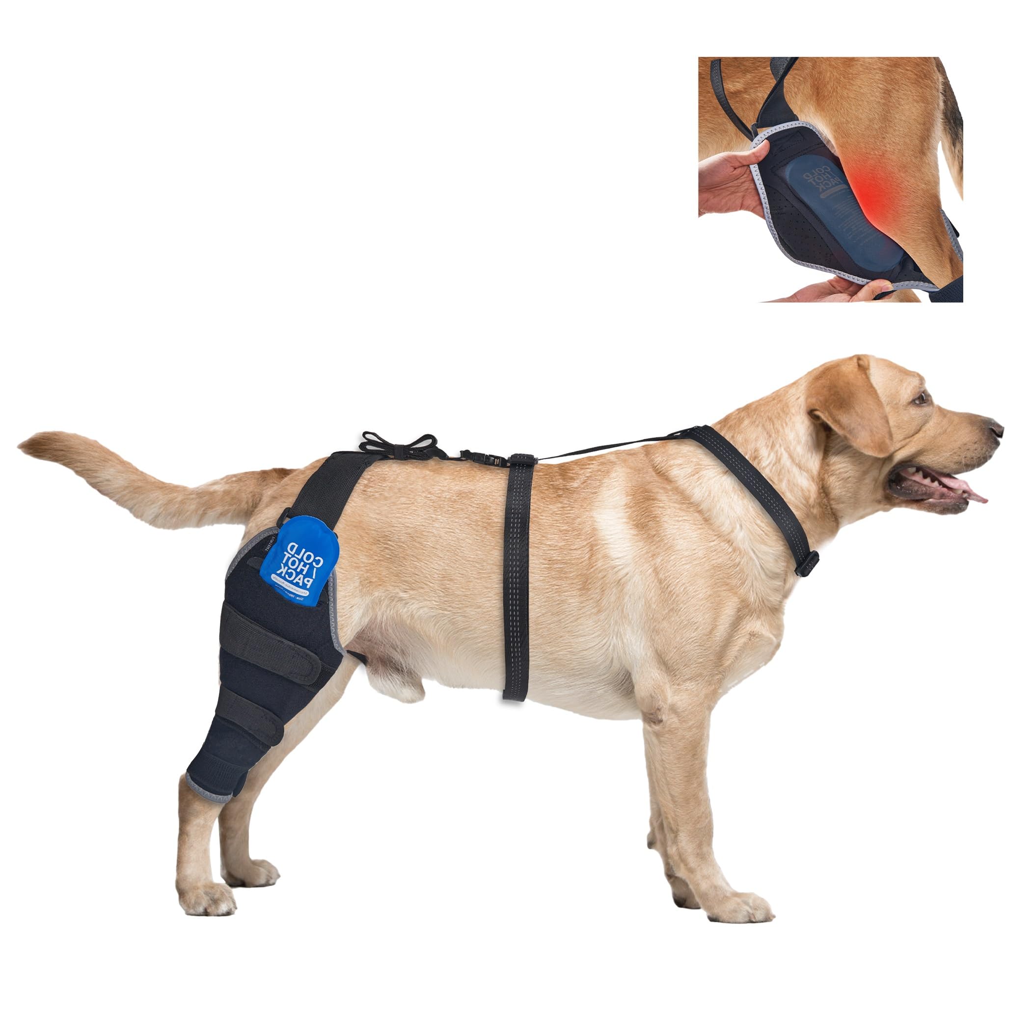 Dog Knee Brace for Torn ACL Hind Leg, Dogs ACL Brace with Removeble Hot/Cold Gel Packs for Cruciate Ligament,Leg Brace for Back Leg with Ice Pack, Rear Right Leg, XL