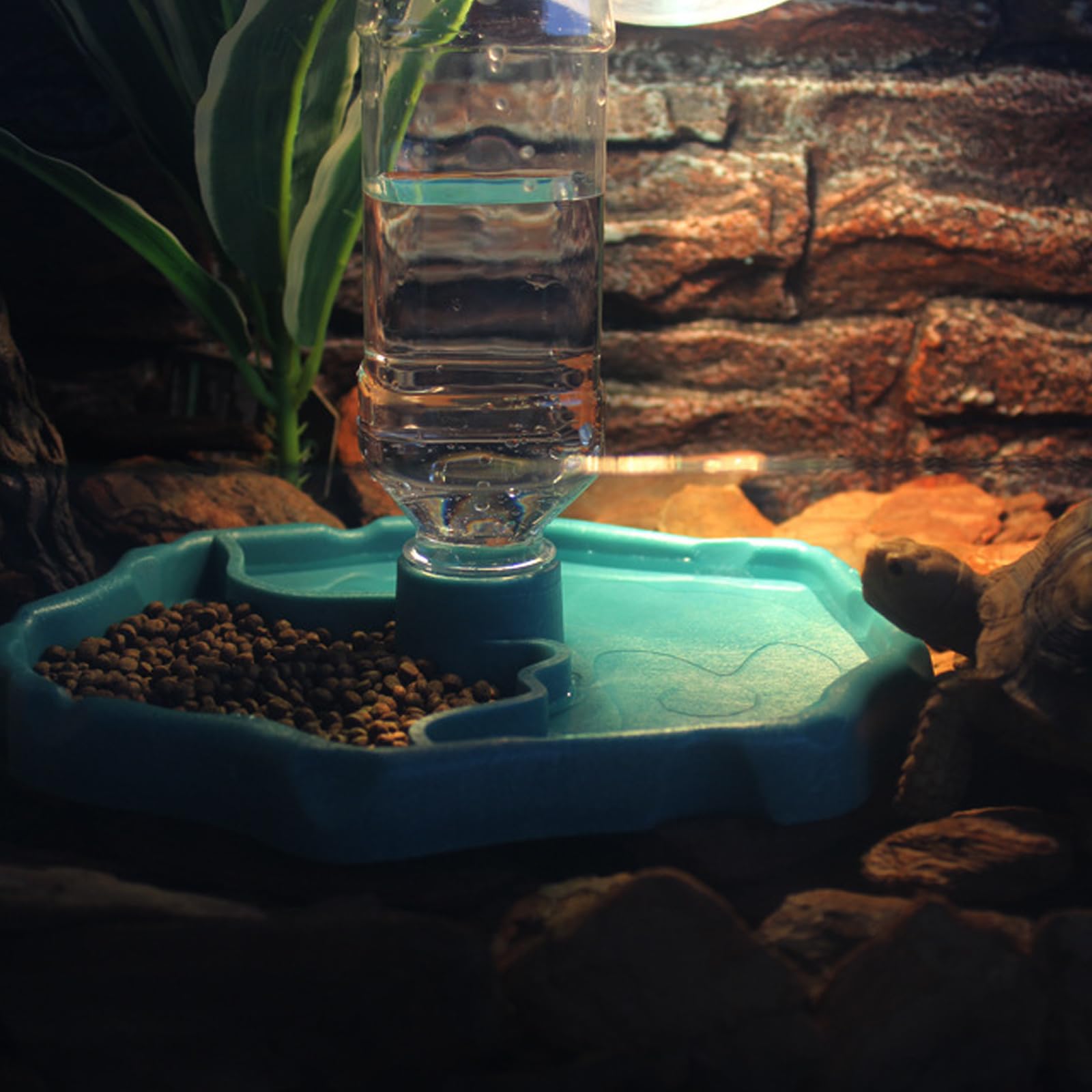 Abbeveratoio per Tartarughe Ciotola per Acqua per Rettili 2 in 1 Distributore Automatico di Acqua per Mangiatoia per Rettili Dispenser per Acqua per Tartarughe Serbatoio per Acqua Automatico