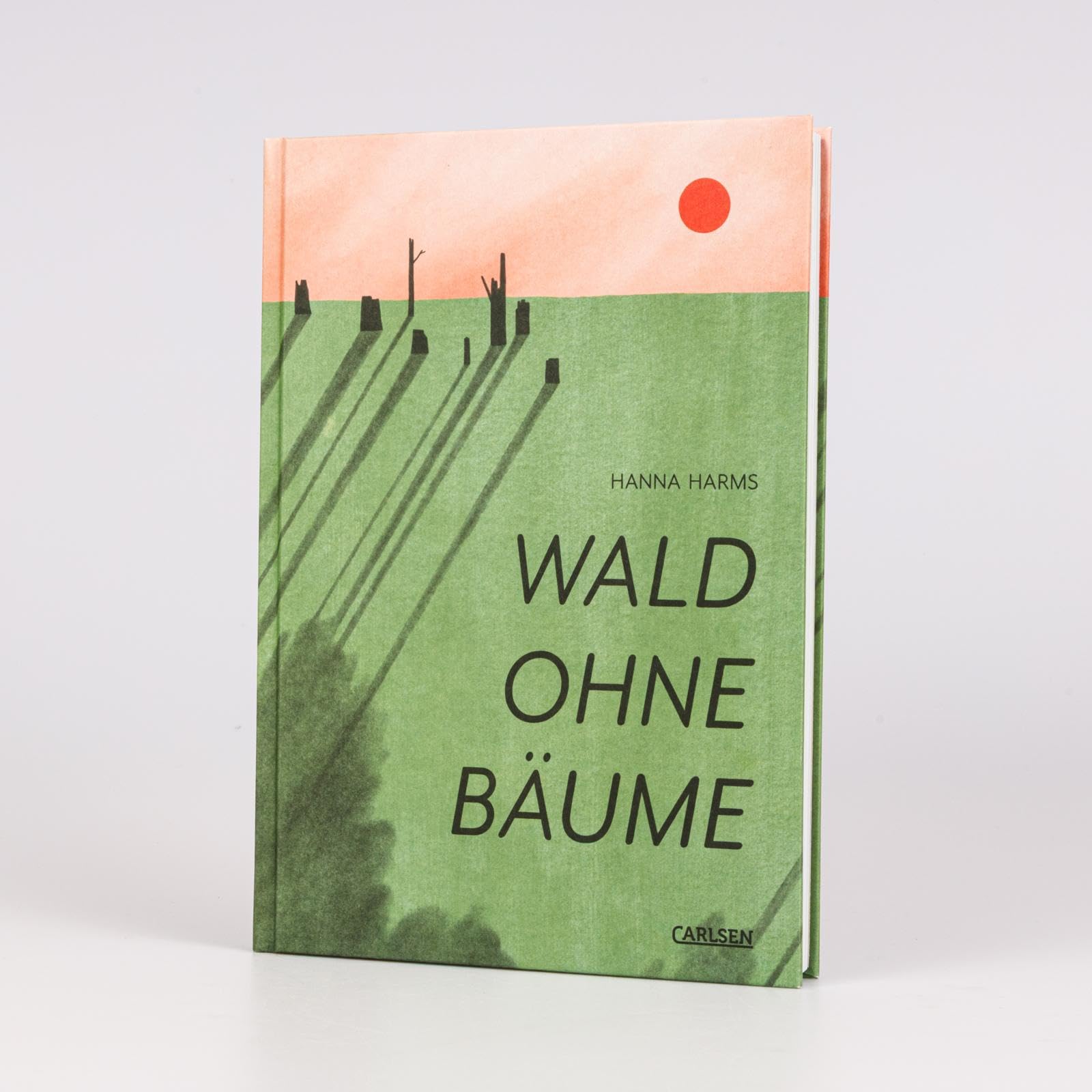 Wald ohne Bäume: Poetisch gezeichneter Sachcomic zum Thema Waldsterben: Über die Dringlichkeit von nachhaltigem Umweltschutz