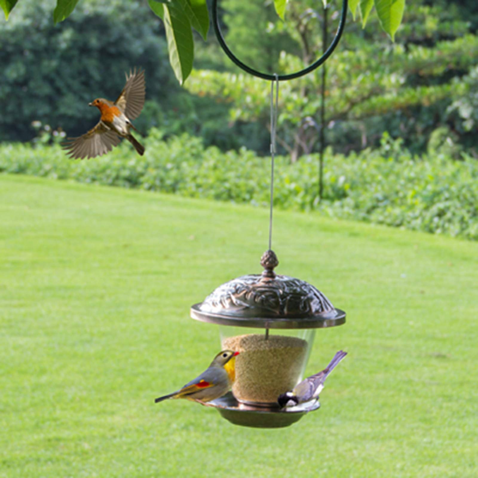 Aimerizzatori di uccelli appesi, alimentatori di uccelli del gazebo di panorama e decorazione del giardino per gli osservatori e i bambini dell'uccello, giardino del giardino esterno, con il tetto