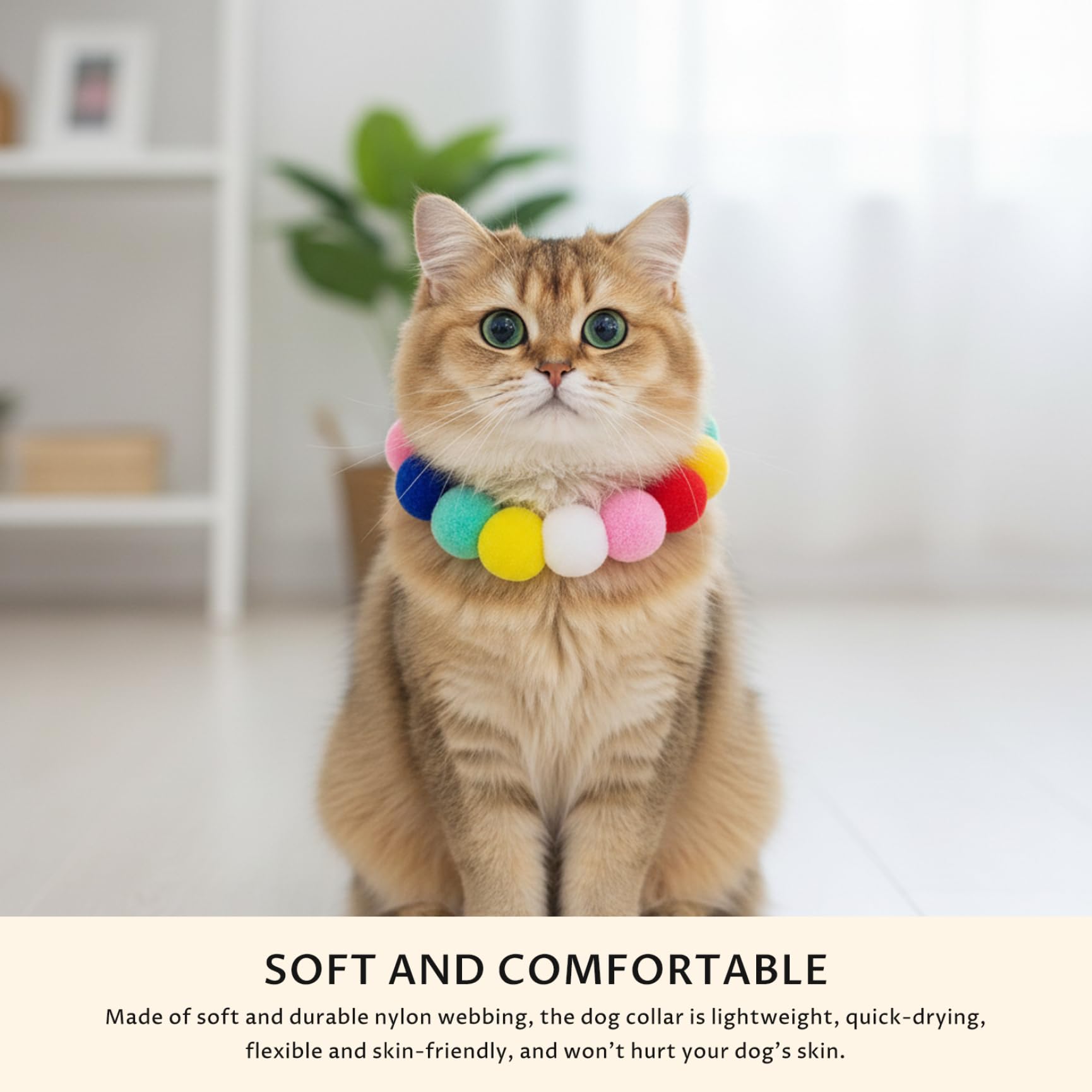50 Collares de Perro con Cuentas, Collar de Gato elástico Ajustable con pompón Suave para Perros pequeños Cachorros, Collar de Moda para Mascotas para Fotos y Uso Diario, Interior al Aire Libre