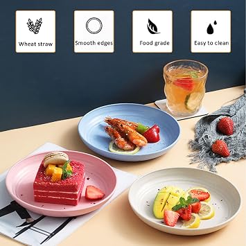 2Pcs Wheat Straw Plates, Unbreakable Dinner Plates 9 Inch