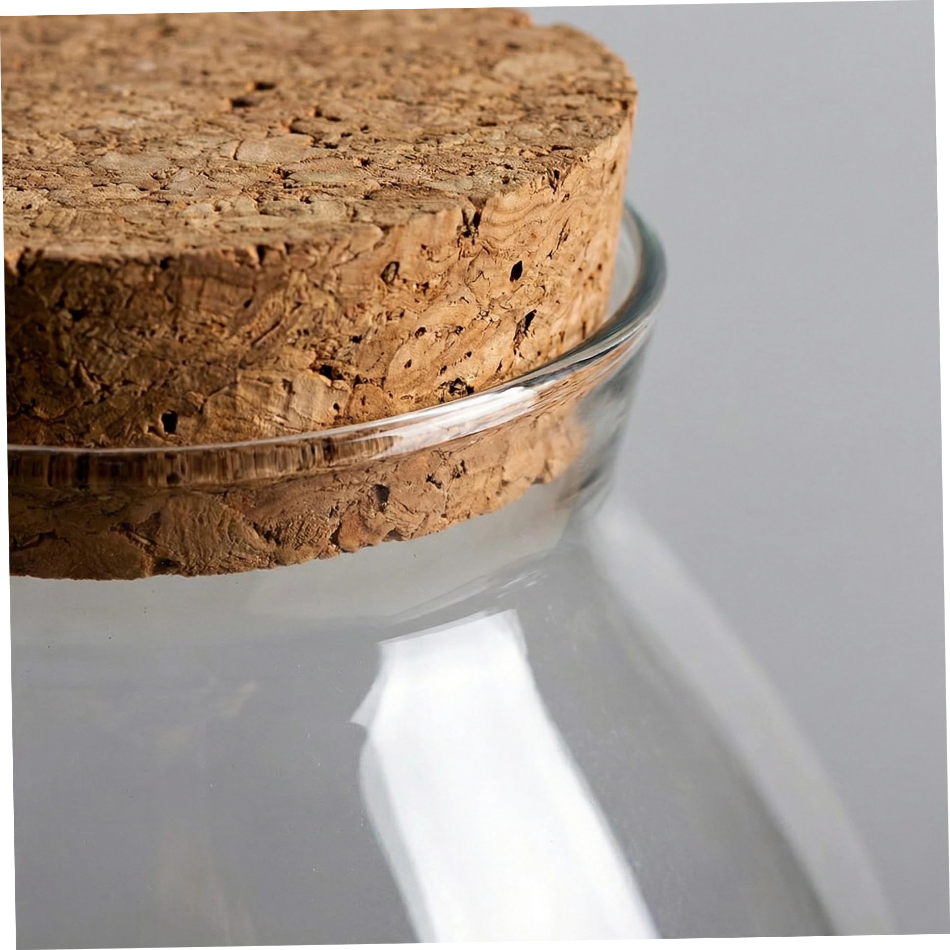 Recipientes de Vidrio para terrarios. Tarro de terrario Cerrado de 1800 ml con Tapa de Corcho para suculentas Plantas aéreas y Musgo. Maceta hidropónica de Vidrio de borosilicato