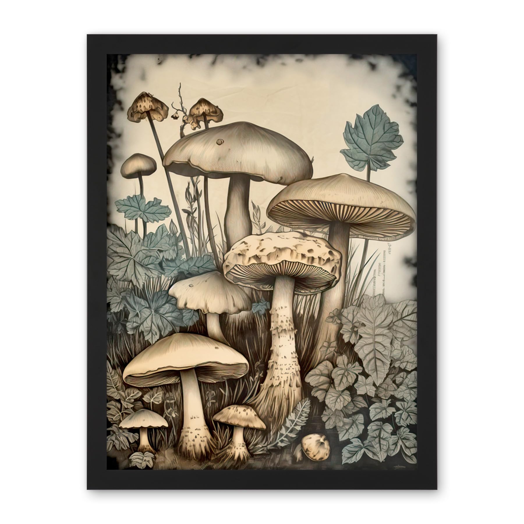 Artery8 Mushroom Fungi Watercolour Vintage Cottagecore Aesthetic Rustic Decor Artwork Framed Wall Art Print 18X24 Inch