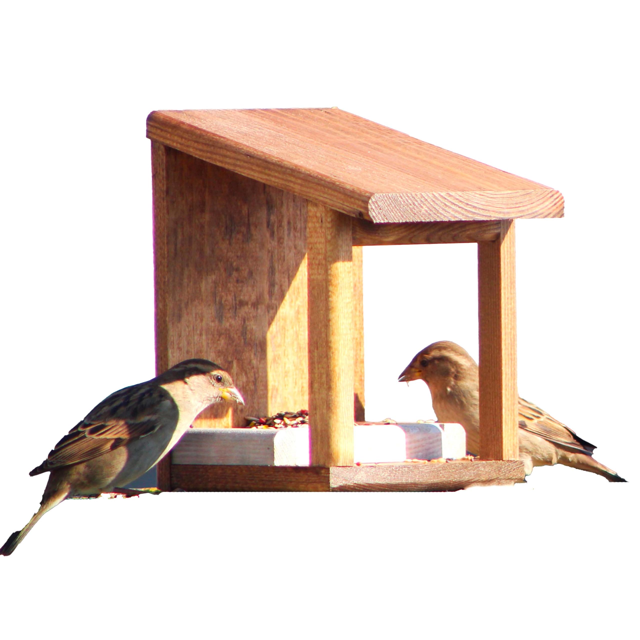 Comedero para pájaros 'Wengué'