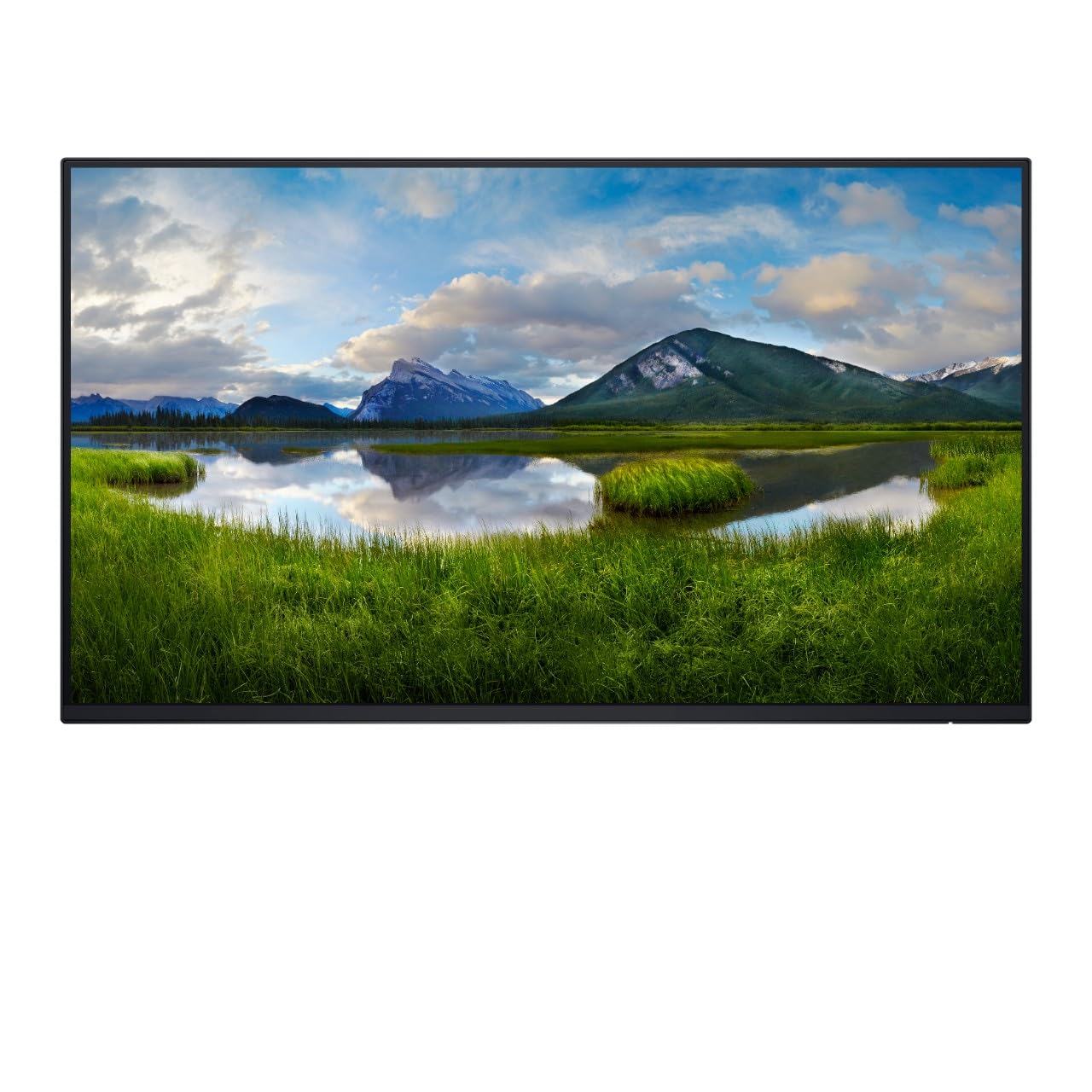 DELL P Series P2425H_WOST Monitor PC 61 cm (24") 1920 x 1080 Pixel Full HD LCD Nero