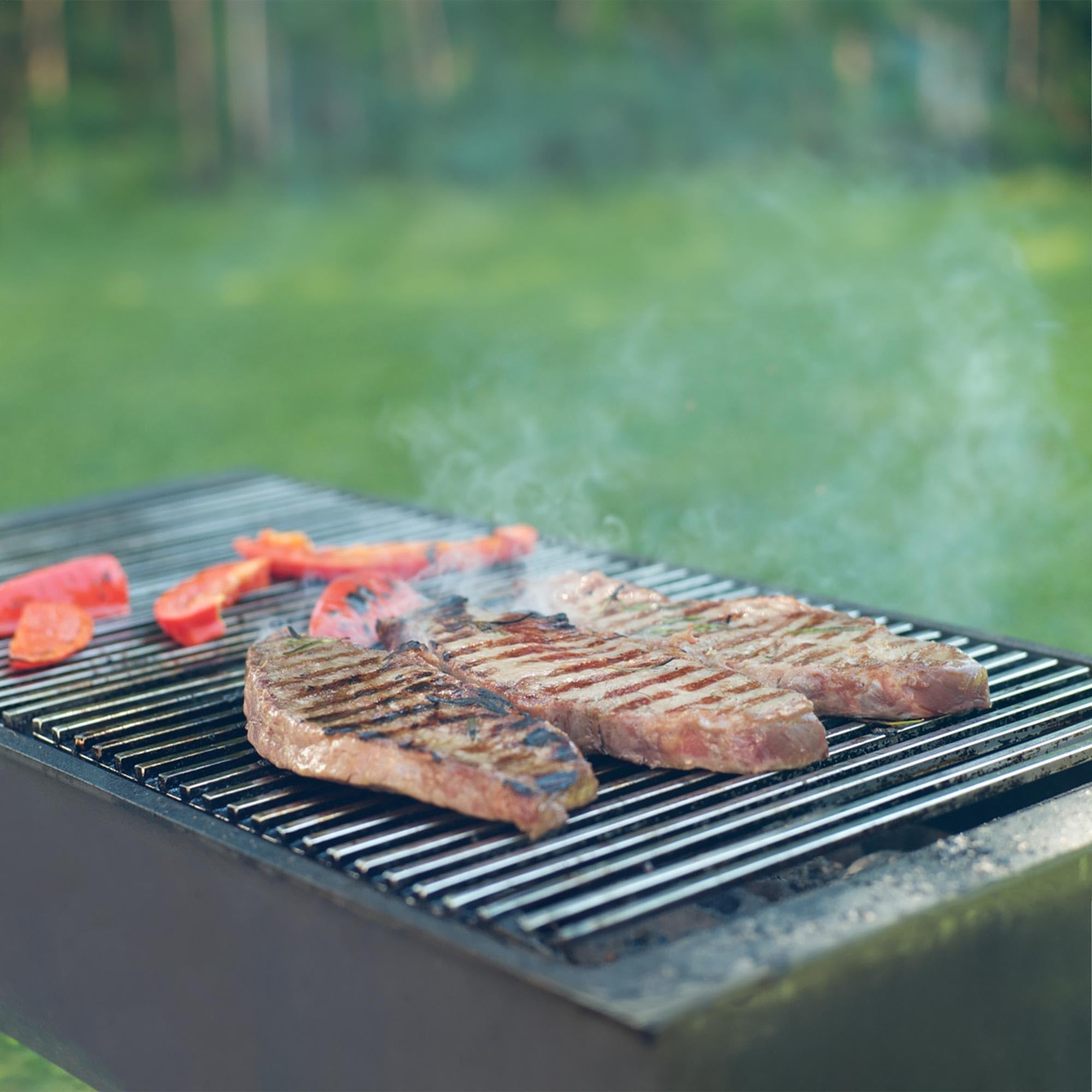 ECD Germany Griglia per Barbecue Acciaio Inossidabile 67 x 40 cm con Manici in Legno