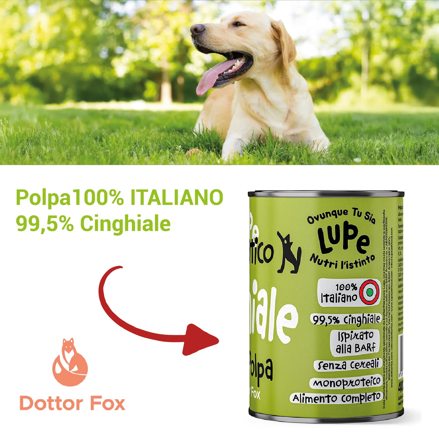 Lupe Polpa di Cinghiale, Alimento Umido Monoproteico per Cani e Gatti, 99,5% Cinghiale Italiano, Senza Cereali, Pasto Completo Ispirato alla BARF, 400 g